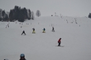 Faschings-Kinder-Skikurs 2014