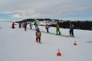 Faschings-Kinder-Skikurs 2015