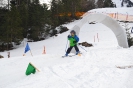 Faschings-Kinder-Skikurs 2016